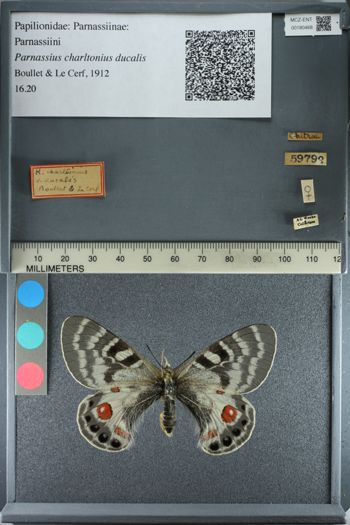 Media type: image;   Entomology 180468